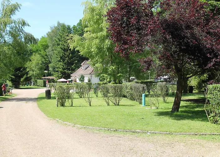 Le Coeur De La Foret