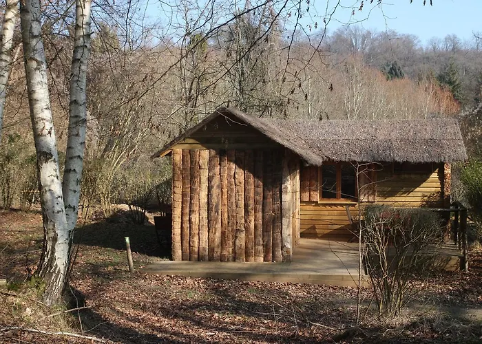 Le Coeur De La Foret